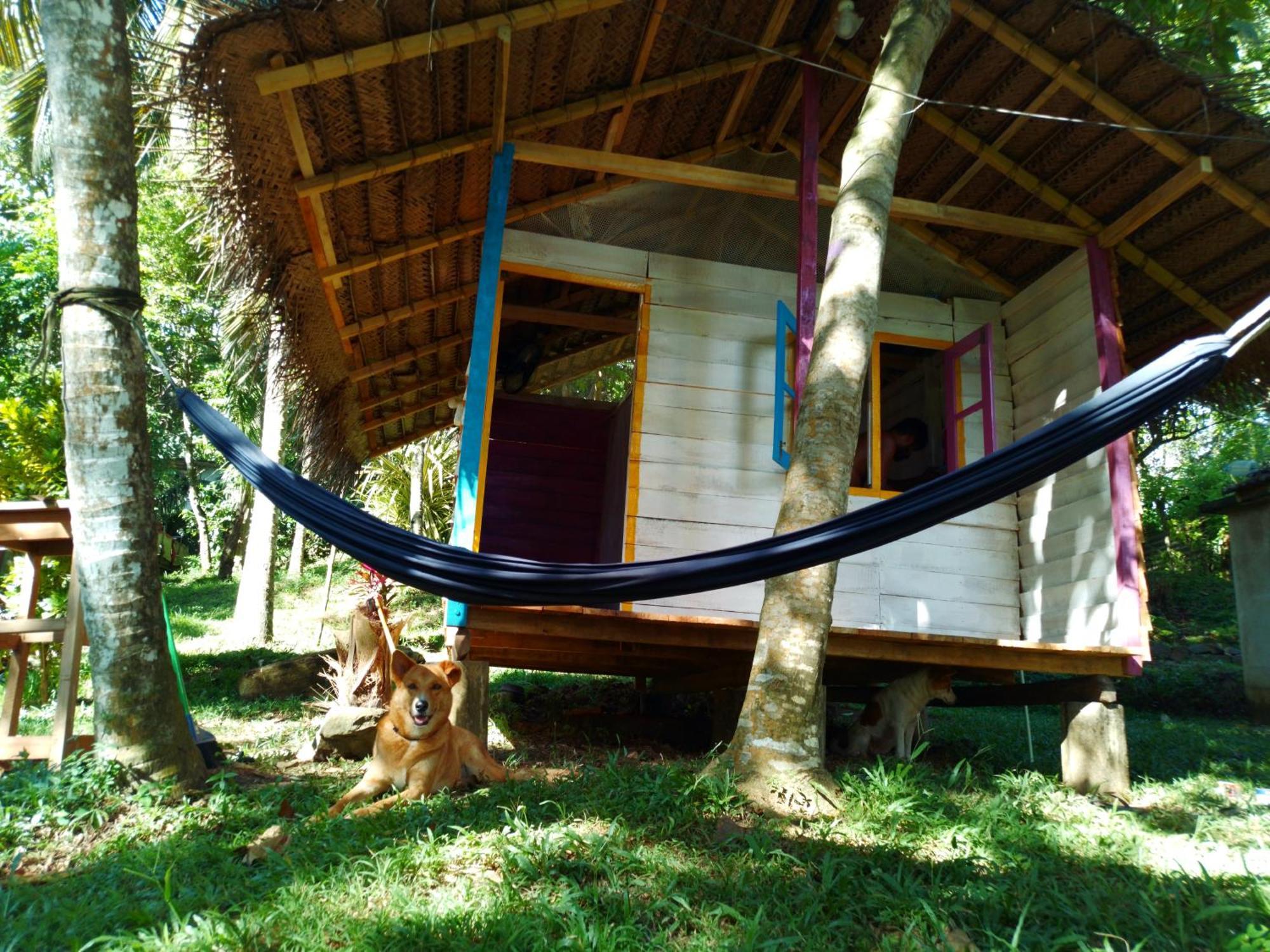 Hidden Well Hiriketiya Hostel Dikwella Kültér fotó